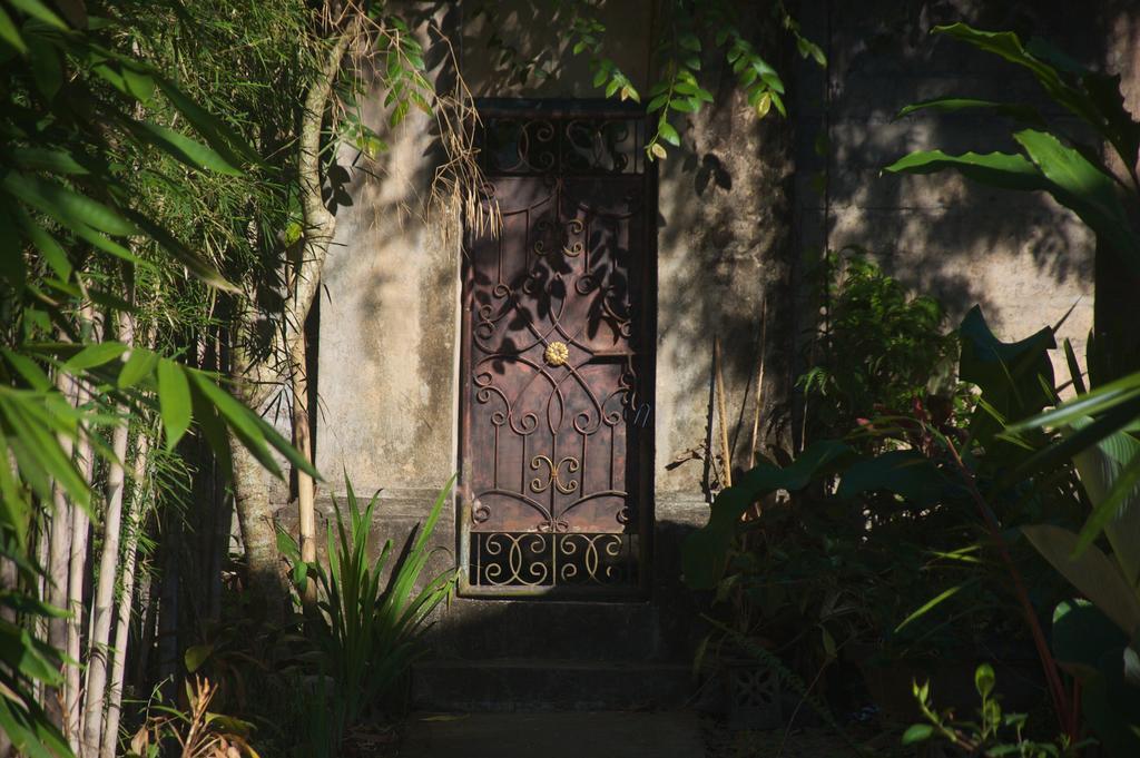 Taman Rahasia Tropical Sanctuary And Spa Ubud Zewnętrze zdjęcie