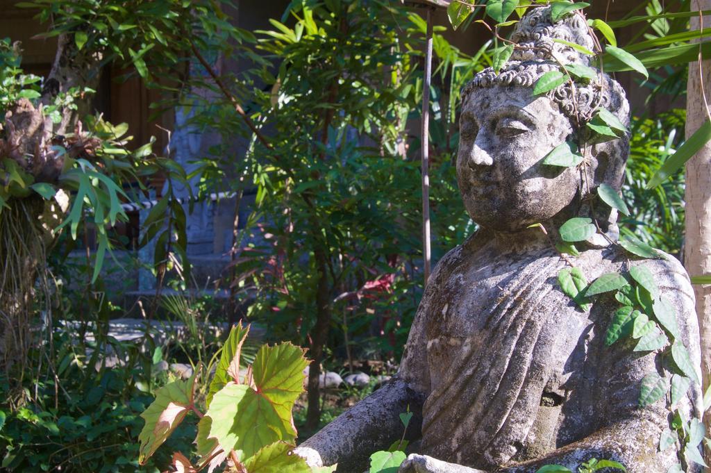 Taman Rahasia Tropical Sanctuary And Spa Ubud Zewnętrze zdjęcie